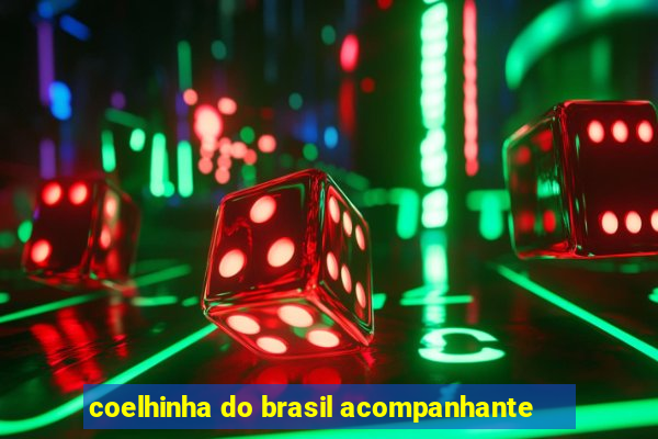 coelhinha do brasil acompanhante